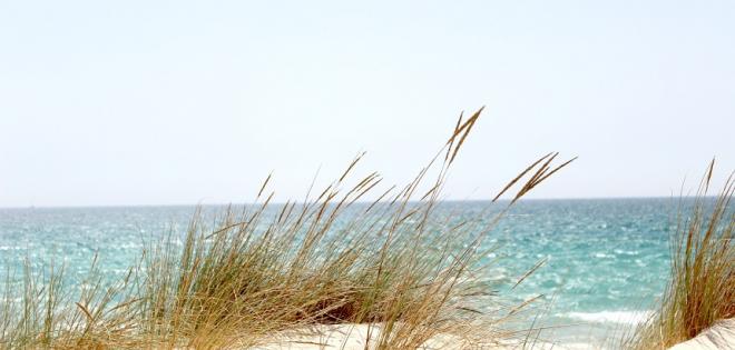 Οι οργανωμένες παραλίες στην Αττική που είναι δωρεάν για το κοινό λόγω καύσωνα