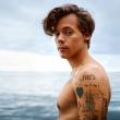 Harry Styles: 4 δισεκατομμύρια streams στο Spotify
