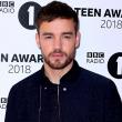 Liam Payne: Οι γιατροί τον είχαν επαναφέρει στη ζωή ύστερα από χρήση ουσιών