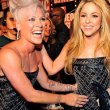 Shakira και P!nk υποψήφιες για το Rock N Roll Hall Of Fame